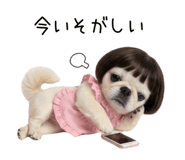 855580670