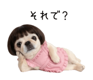855580676