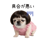 855580680