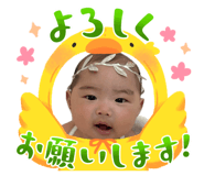 855581034