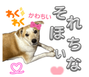 855581167