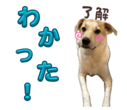 855581168