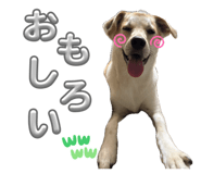 855581169