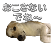 855581178