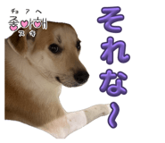 855581182