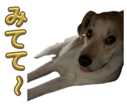 855581192