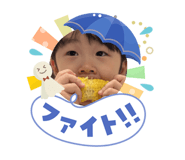855581392
