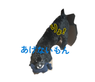 855582168