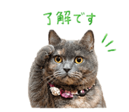 855582363