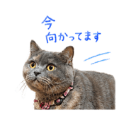 855582364