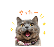 855582373