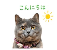 855582375