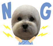 855582392