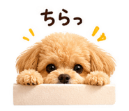 855583019