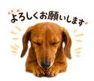 855583031