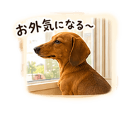 855583040