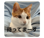 855583183