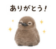 855583315
