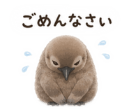 855583318