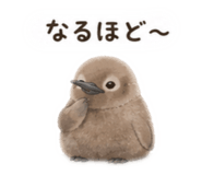 855583322