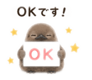 855583325