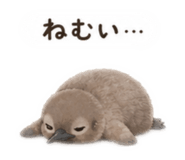 855583330