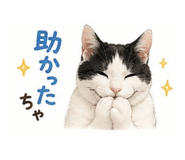 855583414