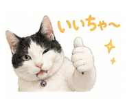 855583415