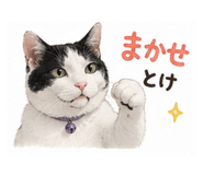 855583418