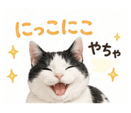 855583421