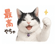 855583423