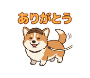 855583442