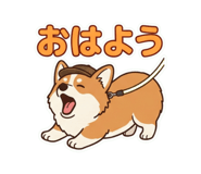 855583443