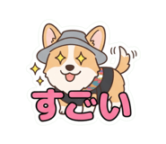 855583446