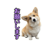 855583449