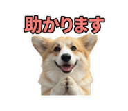 855583450