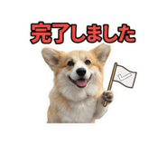855583451