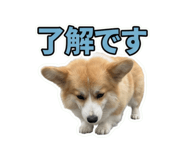 855583452