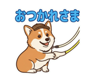 855583454