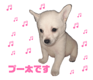 855583834
