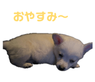 855583835
