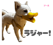 855583840