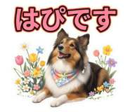 855584573