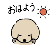 855584682