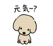 855584685
