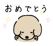 855584686