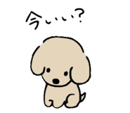855584690