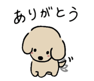 855584693
