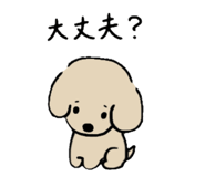 855584694