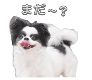 855584769
